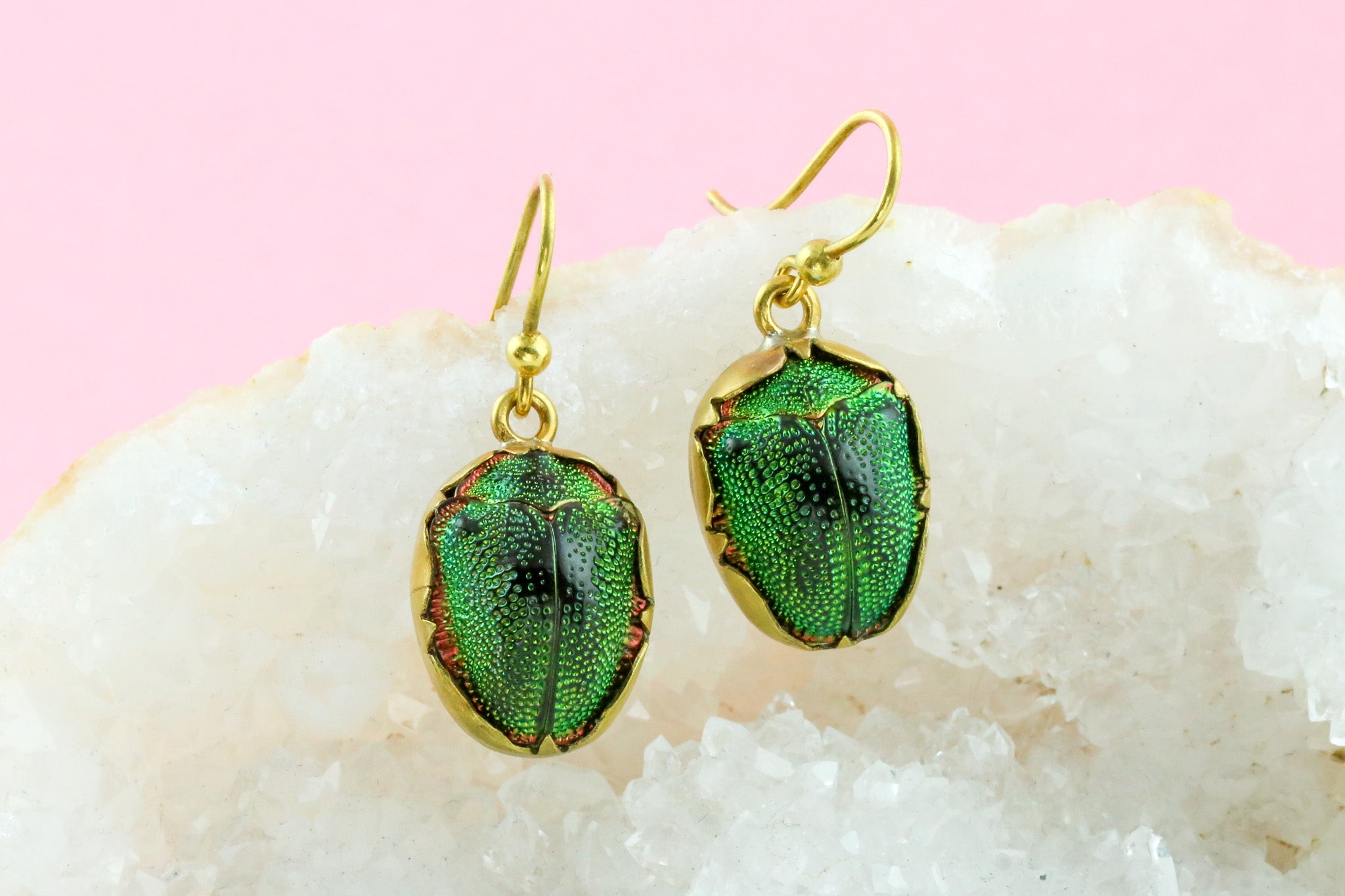 Beetle Earrings with real beetle shells  Palomita Jewellery